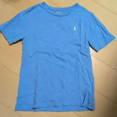Polo Ralph Lauren 水色 Tシャツ M (10-12)