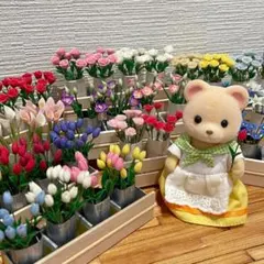 ⋆౨ৎ゜様　ご注文頁