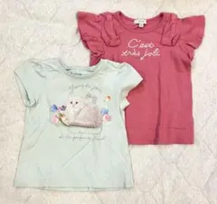 any FAM Tシャツ 2枚セット 100cmのサムネイル