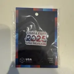 2025年最新】アメリカ館ピンバッジの人気アイテム - メルカリ