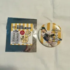 HAWKS有原選手ホログラム缶バッジ