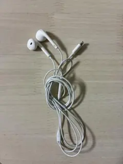 Apple 純正 イヤホンEarPods(Lightningコネクタ)