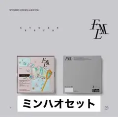 セブチ FML carat盤