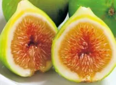 赤瀬征士郎様 リクエスト 2点 まとめ商品