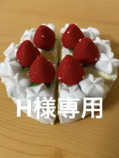 H様 リクエスト 2点 まとめ商品