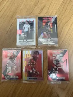 男子バレーボール日本代表　ウエハース　カード