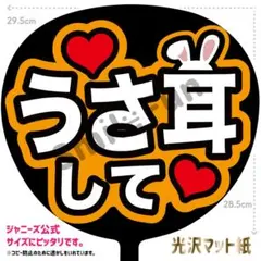 KX-0644 ファンサうちわ コンサートうちわ 文字うちわ 名前文字