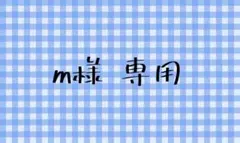 m様 専用