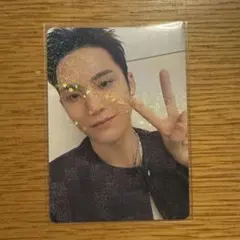 SEVENTEEN セブチ HOLIDAY 会場限定 FC更新 トレカ ミンギュ