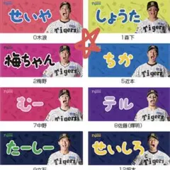 阪神タイガース 近本光司 あだ名タオル