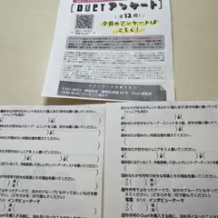 DUet 11月号　アンケート用紙×2