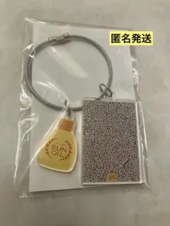 資生堂 アクリルキーホルダー 非売品　ディグる？　銀座ソニーパーク