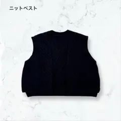 a4650 ハンドメイド ケーブル編み ニットベスト 黒 F ダイヤ柄 Vネック