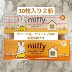 ミッフィー miffy 使い捨て3Dマスク 30枚入り2セット 大人用