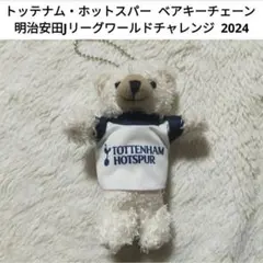 2026年最新】トッテナムの人気アイテム - メルカリ