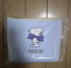 DHCスヌーピー　ポーチ&ミラーセット【水色】