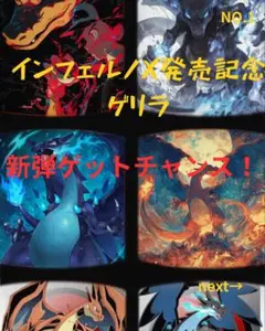 大人気レシラムリザードンをこの価格で！！