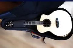 2026年最新】MERIDA ギターの人気アイテム - メルカリ