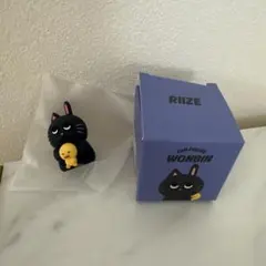 RIIZE カップフィギュア ウォンビン トニャンドク