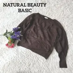 NATURAL BEAUTY BASIC【ボリューム袖】【ウール】ブラウン長袖