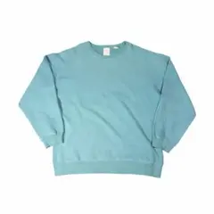 t*n様 90s~00s OLD GAP 前V sweat light weig