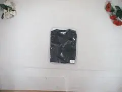 Item thumbnail for item 6a6ef630-353f-485c-80e9-6e5cffdac328