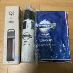 【説明欄・プロフ必読】プレミア12 真空耐熱ボトル0.6L タオル付き
