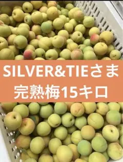 山形県産幻の谷沢梅　追熟梅10キロ　MLサイズ　産地直送　朝取り　梅仕事　梅酒のサムネイル