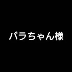 バラちゃん様専用まとめ売りのサムネイル