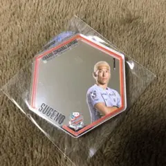 北海道コンサドーレ札幌アクリルミラーステッカー#1菅野孝憲選手