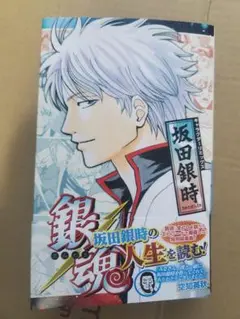 な*★様 銀魂　キャラクターリミックス　坂田銀時　空知英