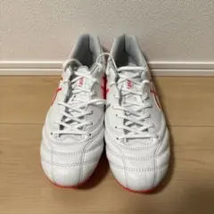asics DS LIGHT X-FLY 6 25.5cm