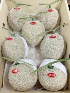ト*ミ様 訳ありメロン　高知県産　赤肉メロン　6玉入り　約6.6㎏（下箱込み） 高知県産 赤肉メロン 6玉入り 約9.7kg（下箱込み） - メルカリ