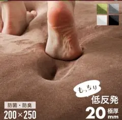 グリーン マイクロファイバーラグ