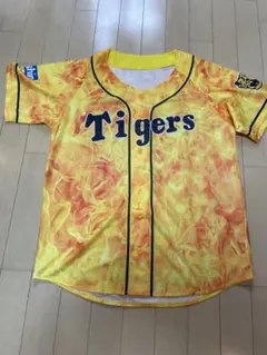 Item thumbnail for item e616c53e-e076-4fdb-b46b-f5ea2a78724f