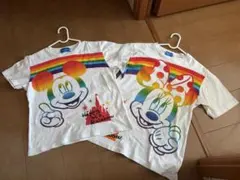 東京ディズニーリゾートのミッキーとミニーのレインボーTシャツ　親子ペア2枚セット