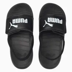 本日限定価額 大人気完売 早いもの勝ち