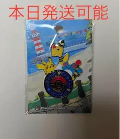 2025年最新】ポケモンセンタートウキョーベイ ロゴピンズの人気
