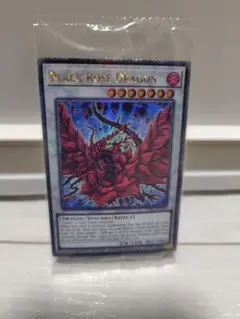 エラーカード‼️遊戯王【英語版】ブラック・フェザー・ドラゴン 25th