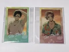 ブルーロック　ミニフォトカード　冴　凛