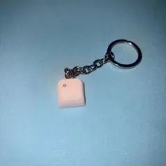 reol ミュージシャン