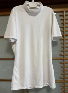 Item thumbnail for item 27ecd7e8-e044-4875-97f0-2e29a0a086ed