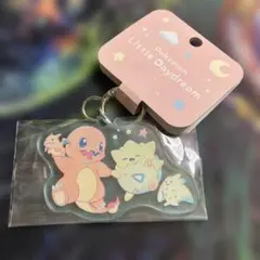 ヒトカゲ　トゲピー　アクリルキーホルダー Little Daydream