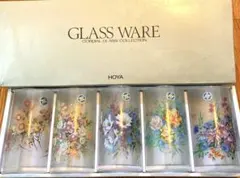 HOYA グラスセット