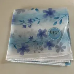 Item thumbnail for item 38d55cb5-dd44-4087-8033-f37bbe97503c