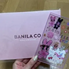 BANILA CO JEONGHAN ステッカーと写真セット