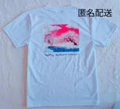 (ほぼ新品)鈴鹿サーキット 桜 2025 Tシャツ キッズ150 女性にも F1