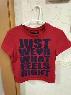 SHAGGIE 赤 コンバクトロゴショート丈Tシャツのサムネイル