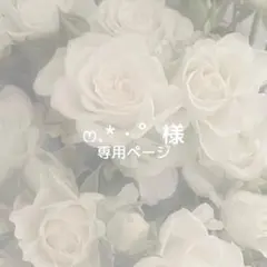 ‪ෆ‪.*・゜様専用ページ
