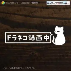 ドラネコ録画中②猫1カッティングステッカー　ネコ・ドライブレコーダー・ドラレコ